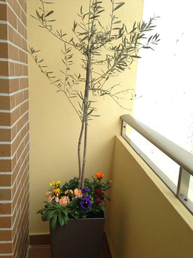 Casa De Oksana *